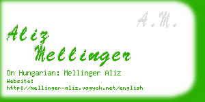 aliz mellinger business card